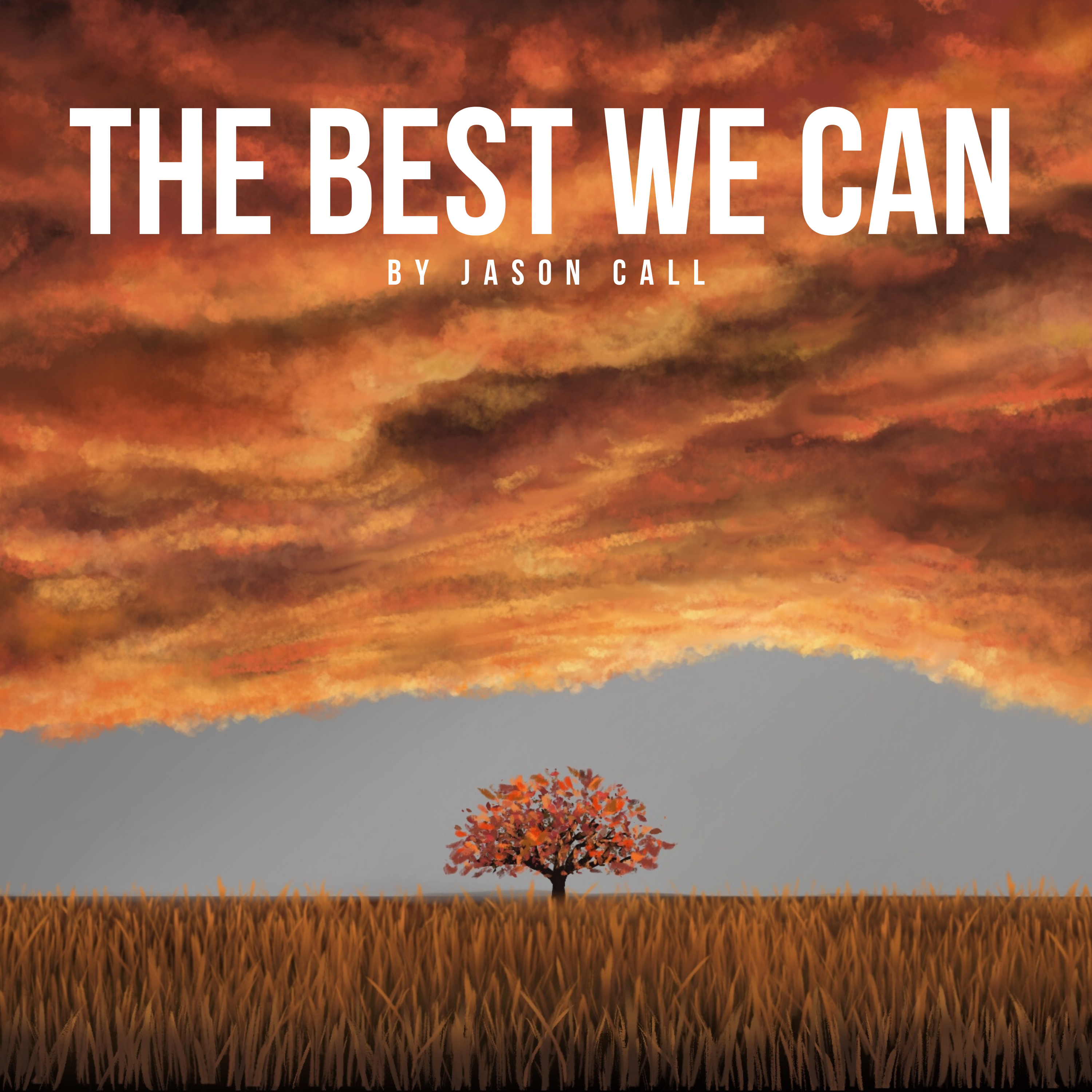 the best we can album cover, by jason call